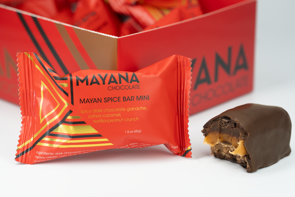 Mayan Spice Mini Bar // 10 Count